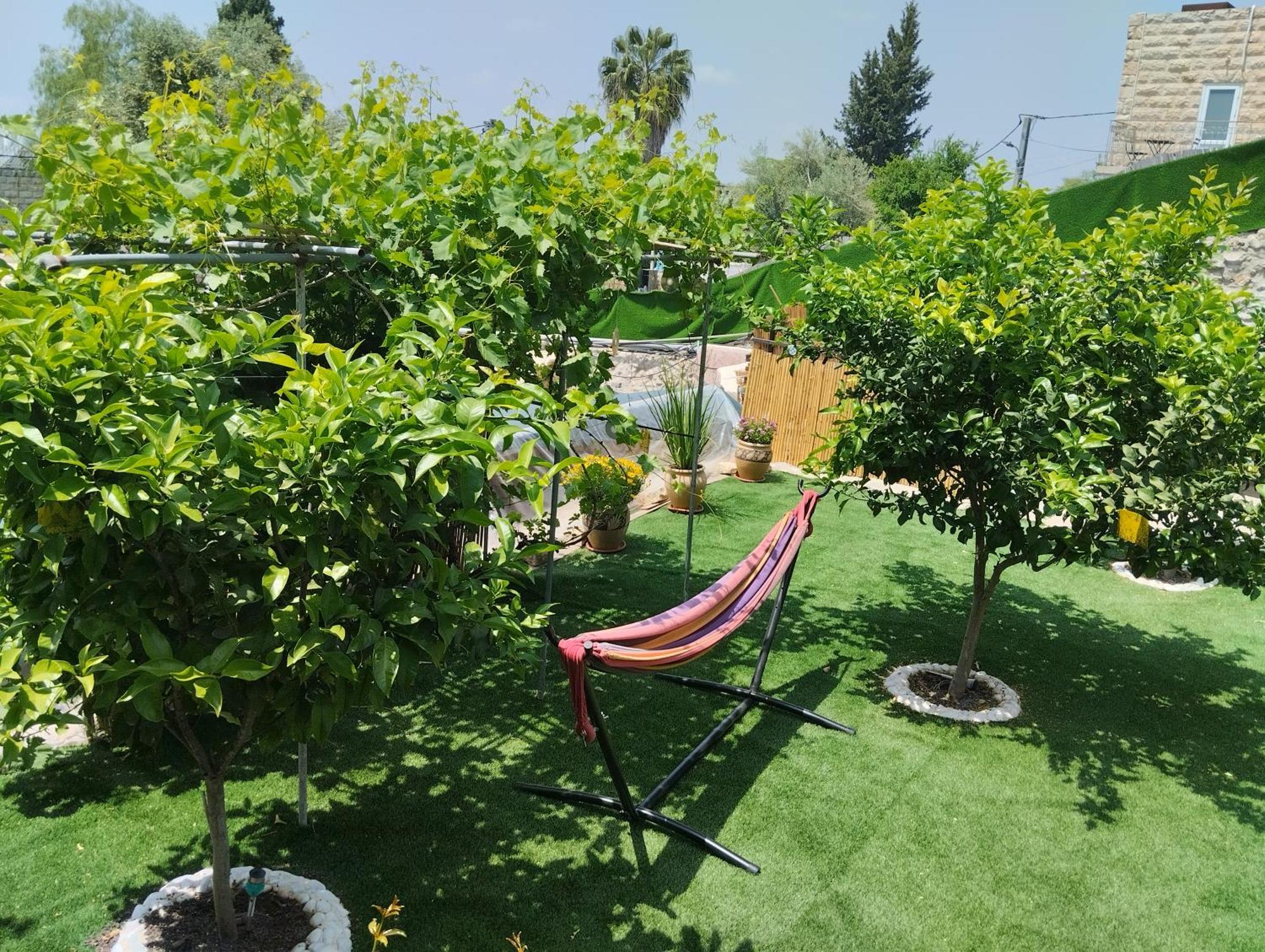 קסם עין כרם Apartment Jerusalem Exterior photo